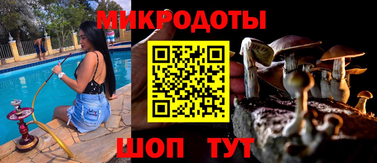 Альфа ПВП Ставрополь