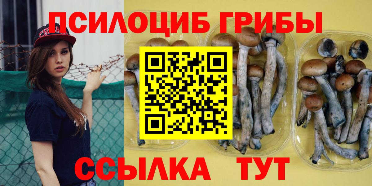 Псилоцибиновые грибы мицелий  Псилоцибиновые грибы Cubensis  Вход с VPN  Ставрополь 